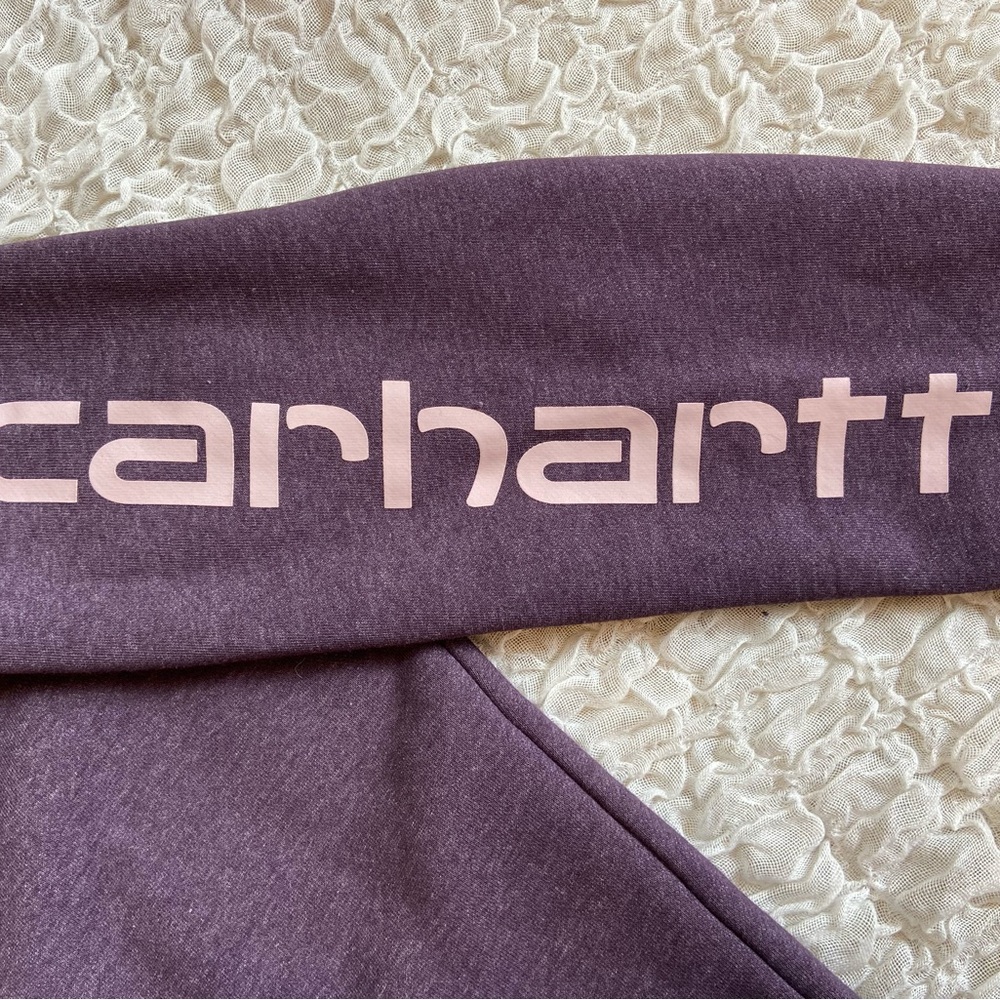 Carhartt Clarksburg Logo Graphic Hoodie Pullover Thick Relaxed Sweatshirt Medium - Picture 9 of 10